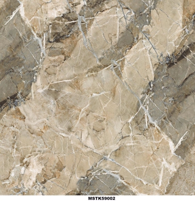 Gạch TOKO 50x50 TK 59002